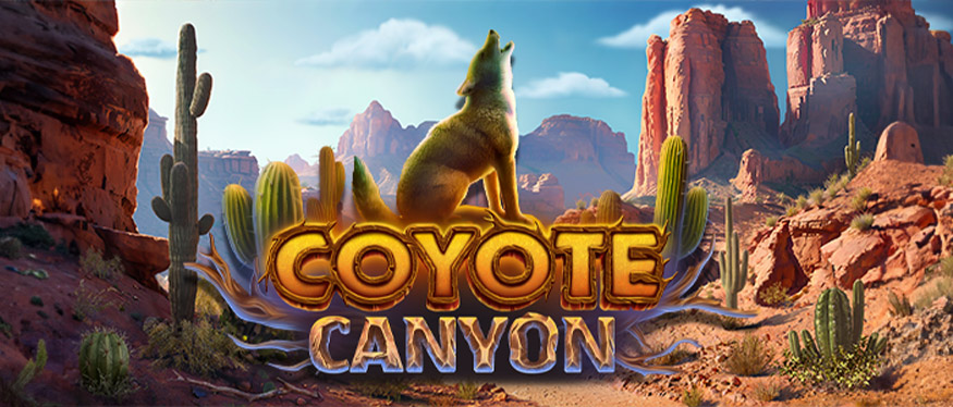 Coyote Canyon